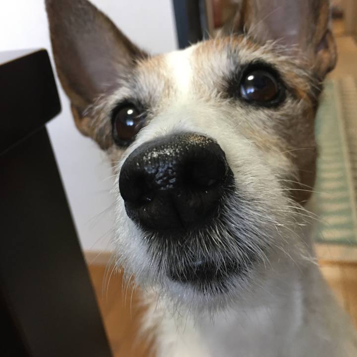 94849fd8 9600 4089 a50c b5efc6fca8c3 1619738879425