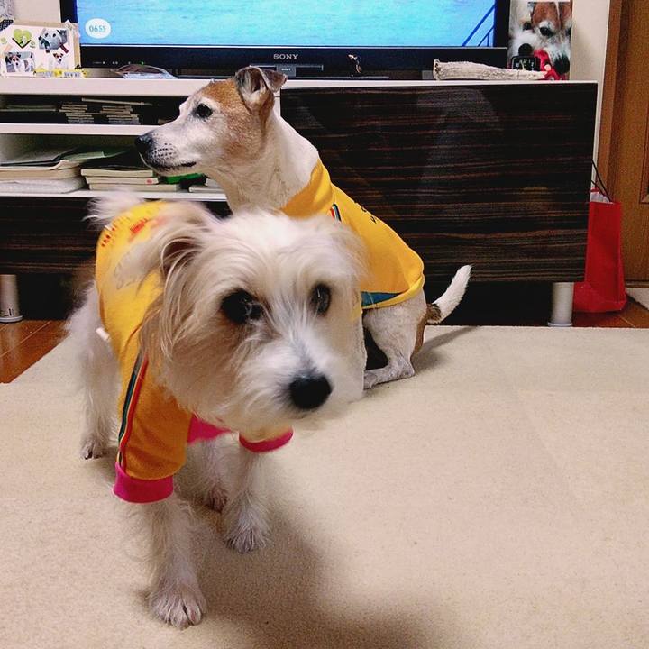 9484b560 1f17 4f00 8611 5d38cc1eecf9 1579558897277