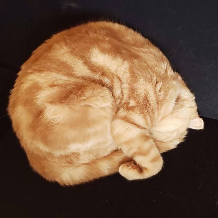 9484c31c d423 48c1 a5e5 3e09d4bceaed 1545801805098