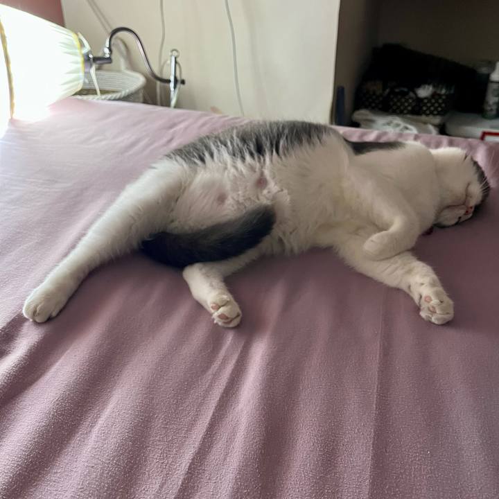 948531df 88b0 450e babf 50ce3ceb3e1b 1765545437036