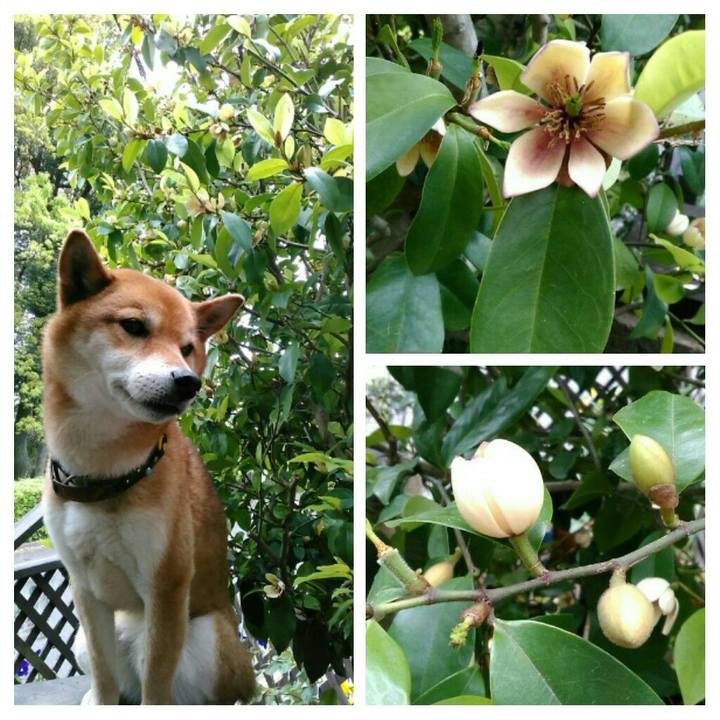 94857a77 f2fe 4be1 901a 9139980a897c 1557371996222