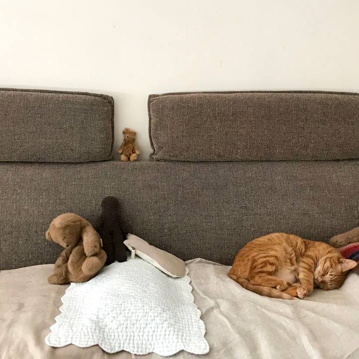 94858508 a2e3 4545 8c60 f859ea71fc3d 1522748532153