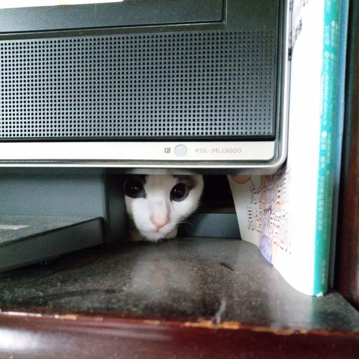 9485b65b 673f 43ab 8d47 4b05caf620d2 1539389943377