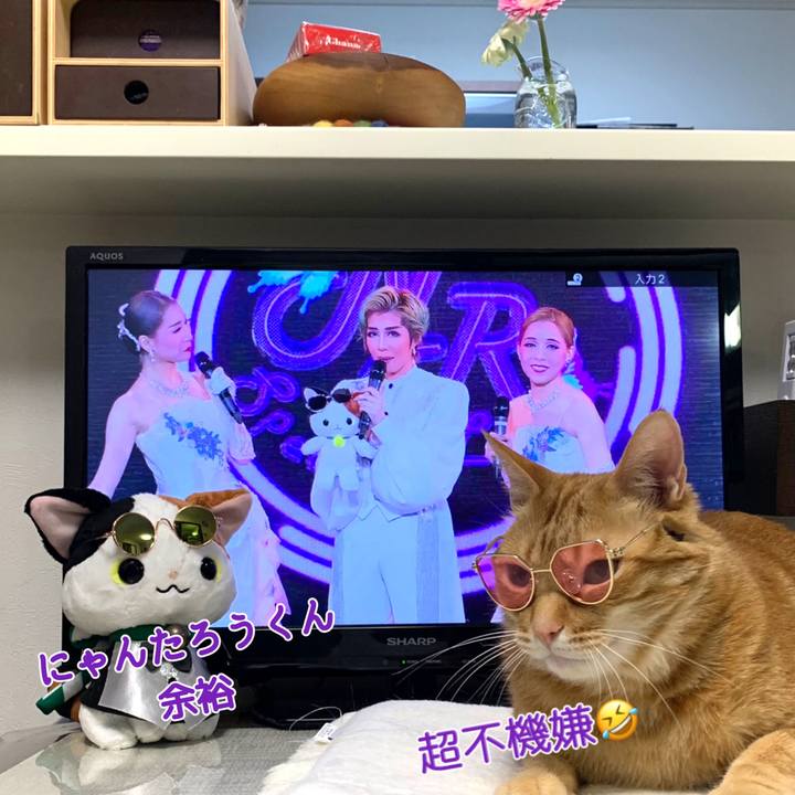 9485cb69 d8ce 48ef 8e22 da8a7fd8ac7a 1619437867161