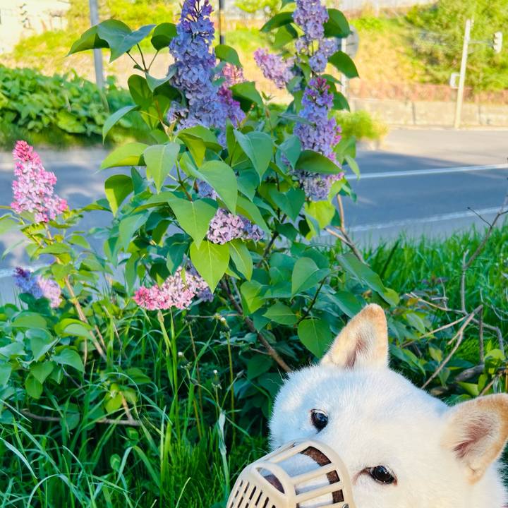 9485eed3 1fe9 41fa 9b25 1e41a26cf06f 1715981818766