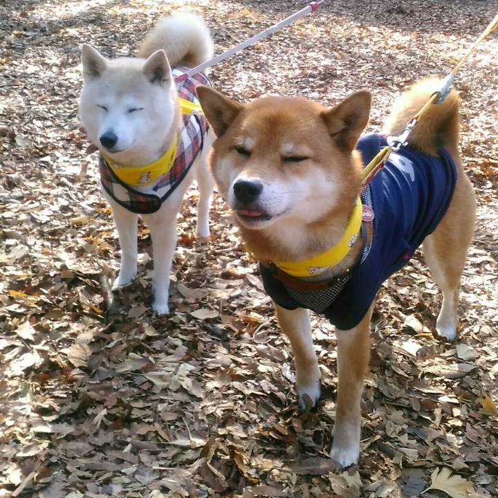 9485f7a4 8138 4baa 8aa3 8244517e84a9 1516516518721