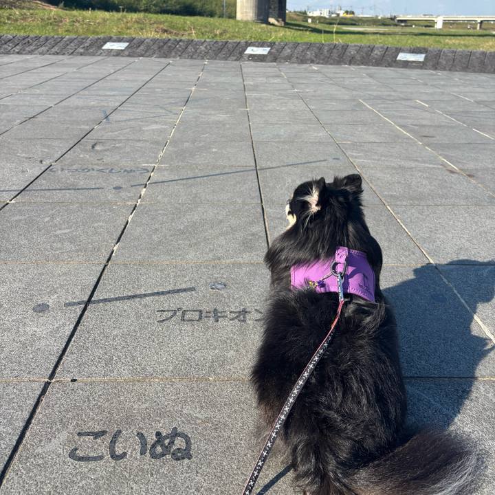 9485faf3 f34f 4087 8f61 5181693d7dde 1761801638134