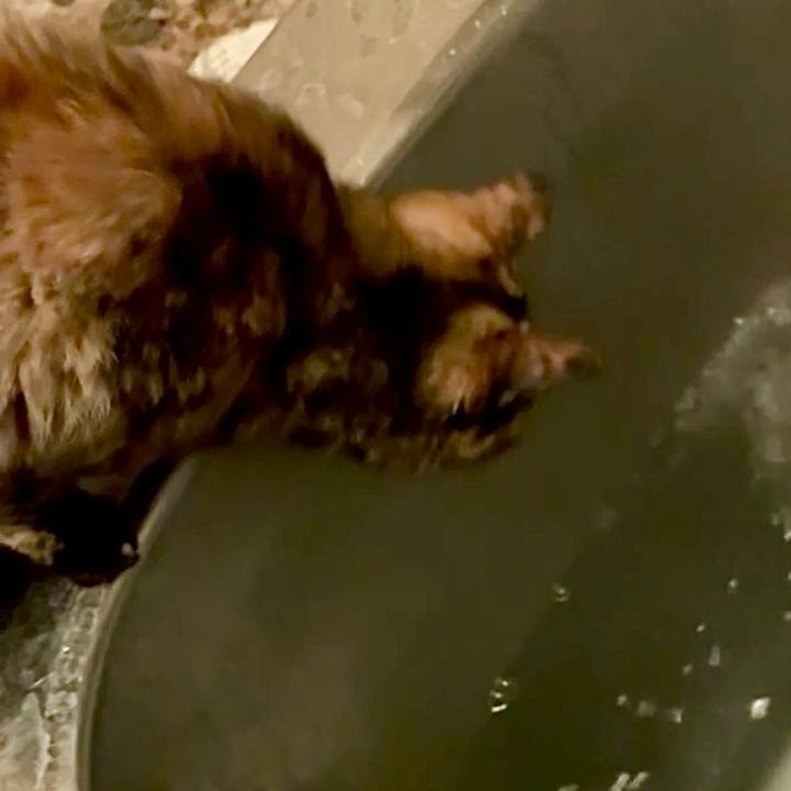 94860f47 d3f2 42b3 a738 97fbe018bce4 1747594662007