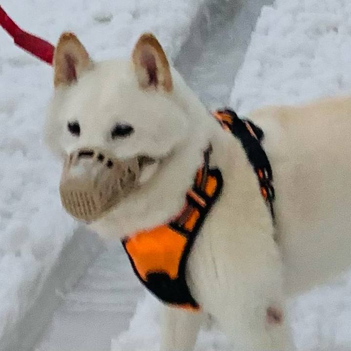 948613b3 532c 4606 86f2 f0fa751c5f86 1673648901996