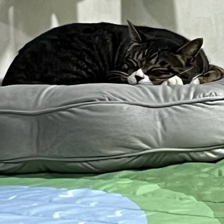 94864c43 076f 46b7 ab56 41ce7ee17bd7 1754522514200