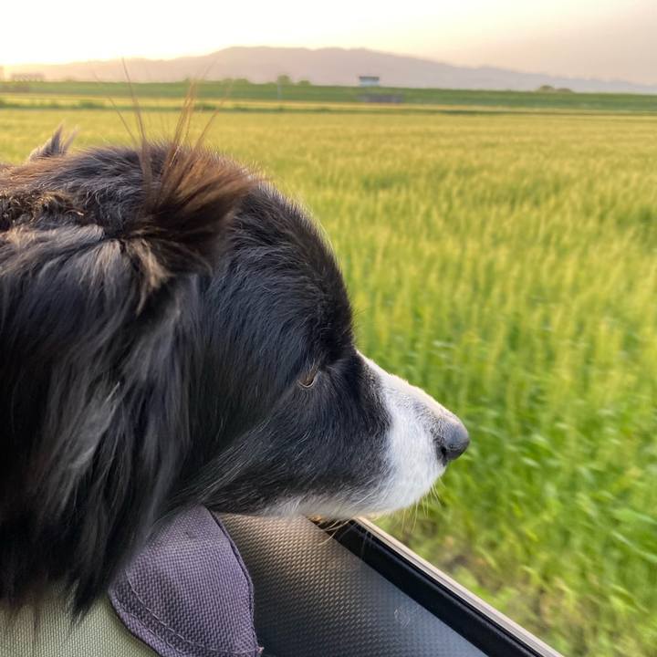 94868478 fc41 4d53 852d 1ad9b3f4c207 1681723309197