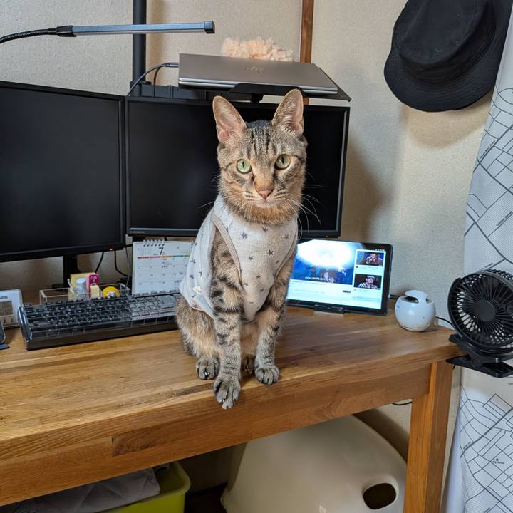 9486919c 16d0 4fb2 a84c c77e863fb64f 1752619847407