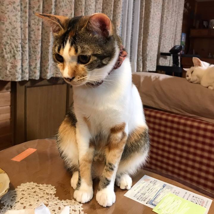 9486c546 8424 4899 95f4 8b07eb21e10f 1634034712535