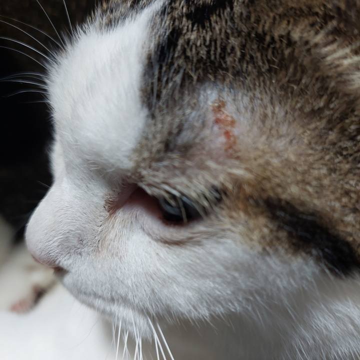 9486fbf3 11b1 4844 b7c2 7b2b3e1026cb 1633257688257