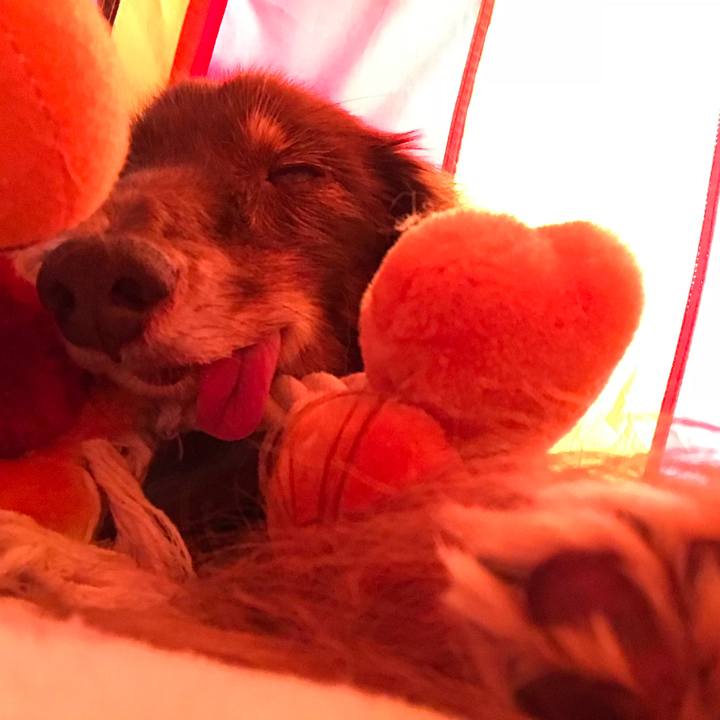 9486fd81 b2c6 4ccd 8d3a 901d141fe796 1520742202249