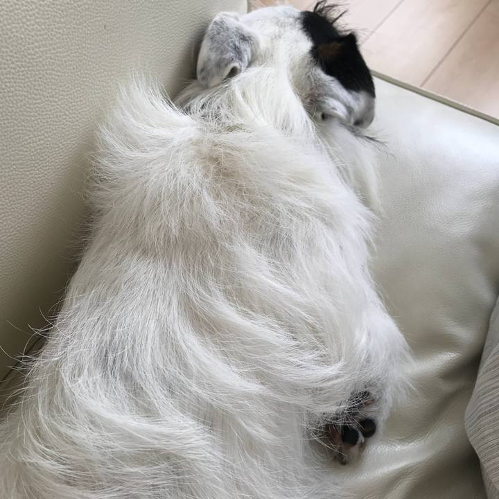 9486fef1 6e7f 4a9d 9460 fd060a2da4a8 1526518723969