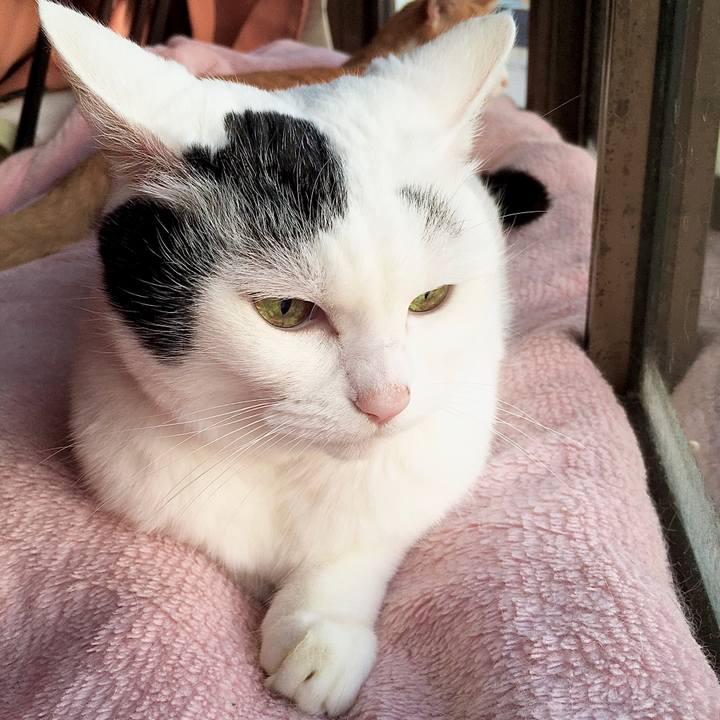 94870e4b 9a43 419a be47 8d52e4ad3693 1573537311804