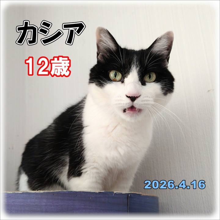 94873577 7566 4ab9 b6b4 cd6c46b800f1 1776653214151