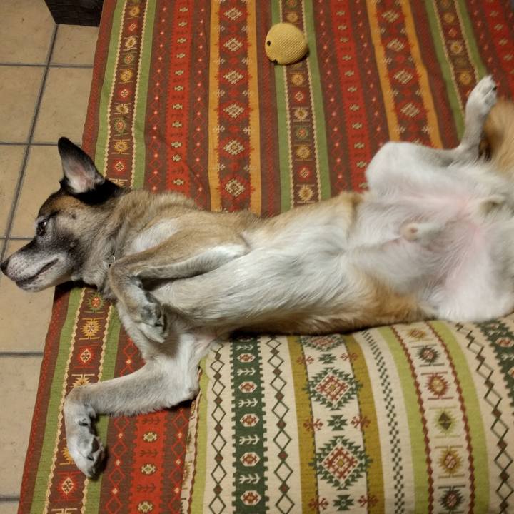 948753b6 5c19 4078 9c4f cea33c4b7cce 1507688024922