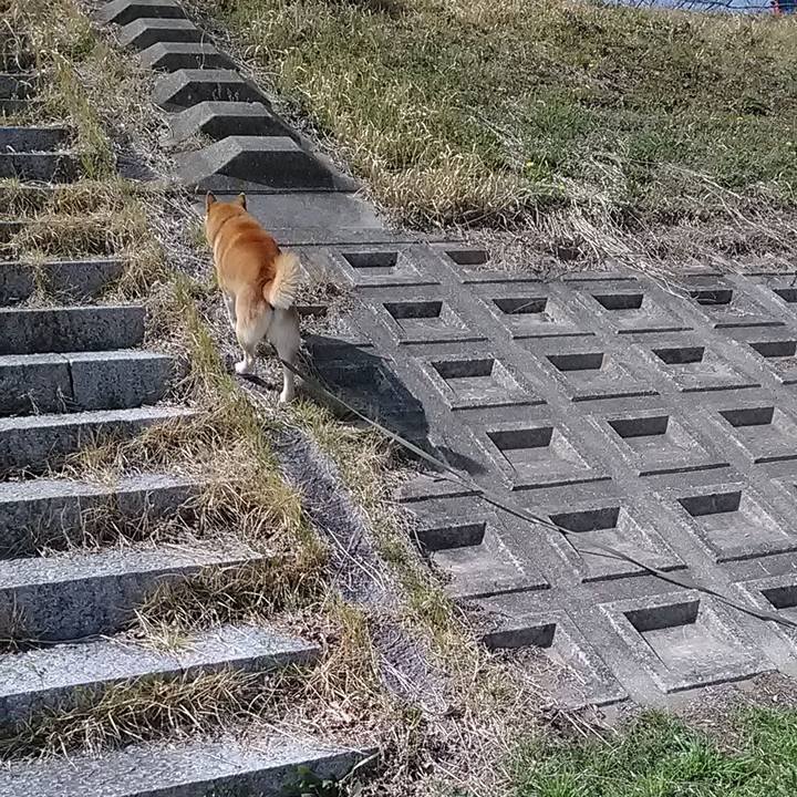 94878415 9138 4d61 a2cc 0085abcaee39 1616488938093