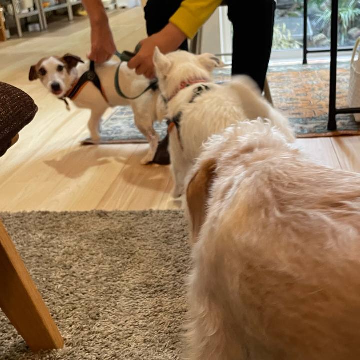 9487aba2 1e40 4f65 a230 8aed435db5cc 1767686451877