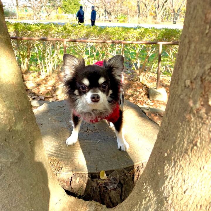 9487d46e c013 4a5b 93c5 2346587637c9 1670759193362