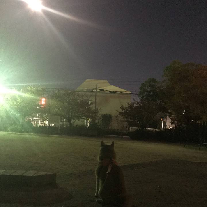 94883671 f352 4953 9112 b71e8af7a1a9 1542978340117