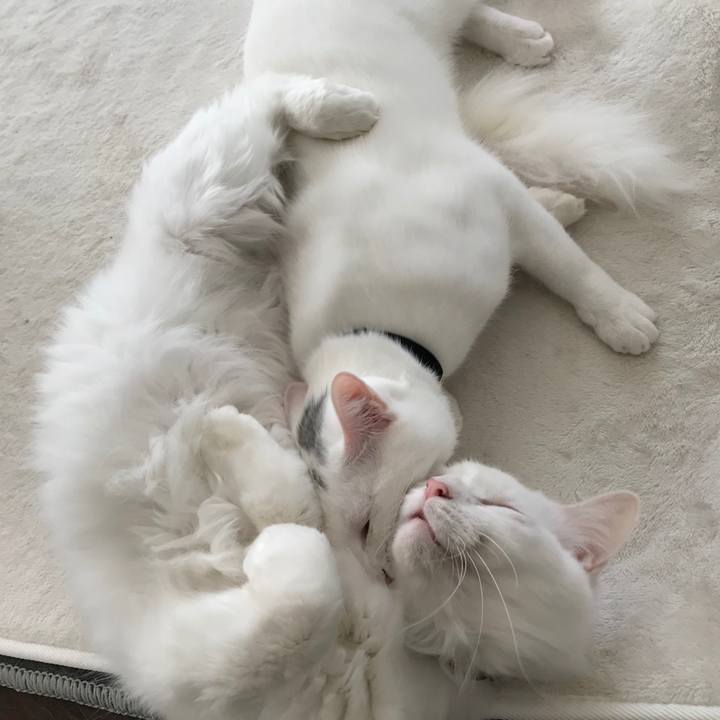 948859c1 ba4a 428d a961 e1f5be8c6878 1576991141570