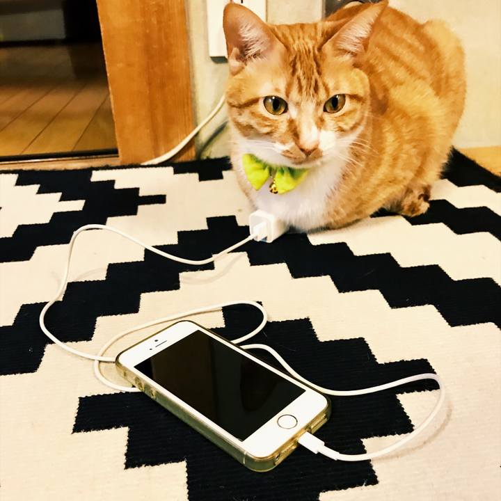 948894b6 1361 4e3b bc62 3c1d4f01868d 1525597079700