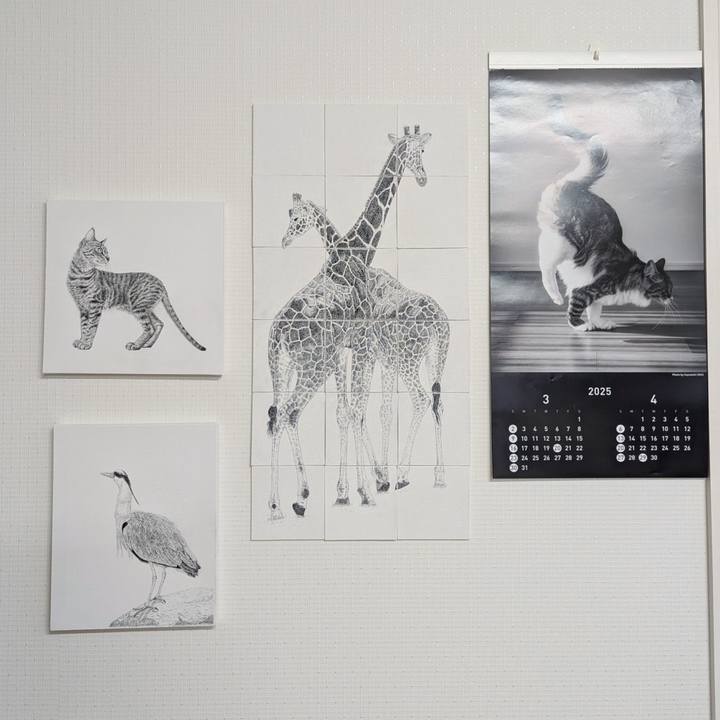 948897e5 f539 4426 b934 3cde9e95ded7 1742021984460