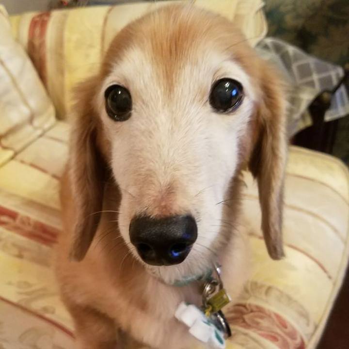 94889b53 d431 462d 9154 a935fe6dd960 1772757880005