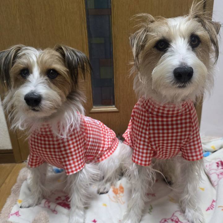 9488a164 548e 4deb a986 8b9ad767b1b5 1771069116169