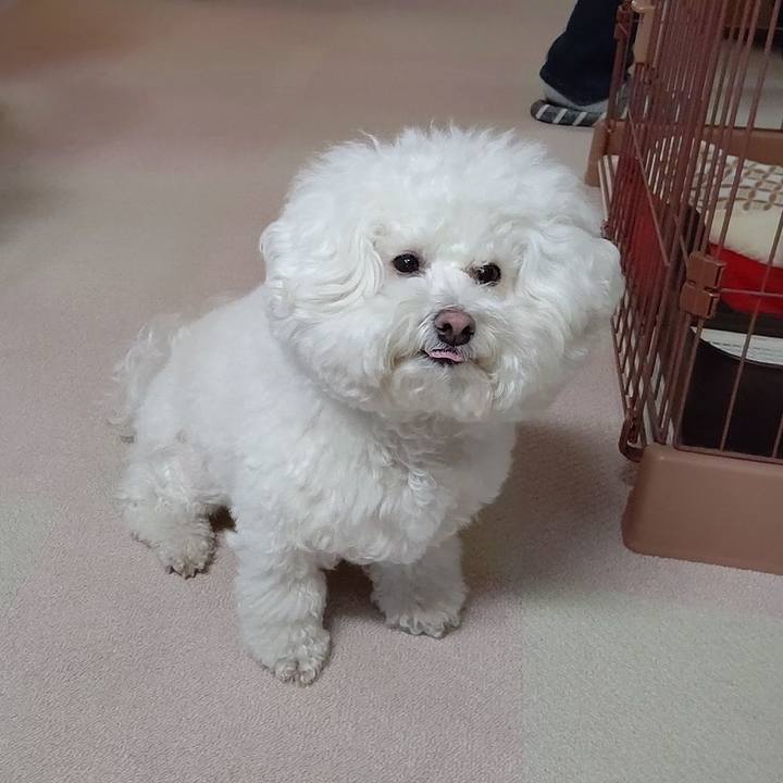 9488da3f 4efd 4ba8 bc3b 177bfdb338ae 1637744746486