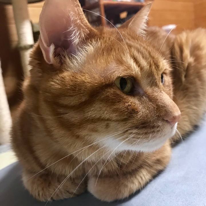 9488e8fe 4e1e 497d b121 88926d578e4a 1558171749649