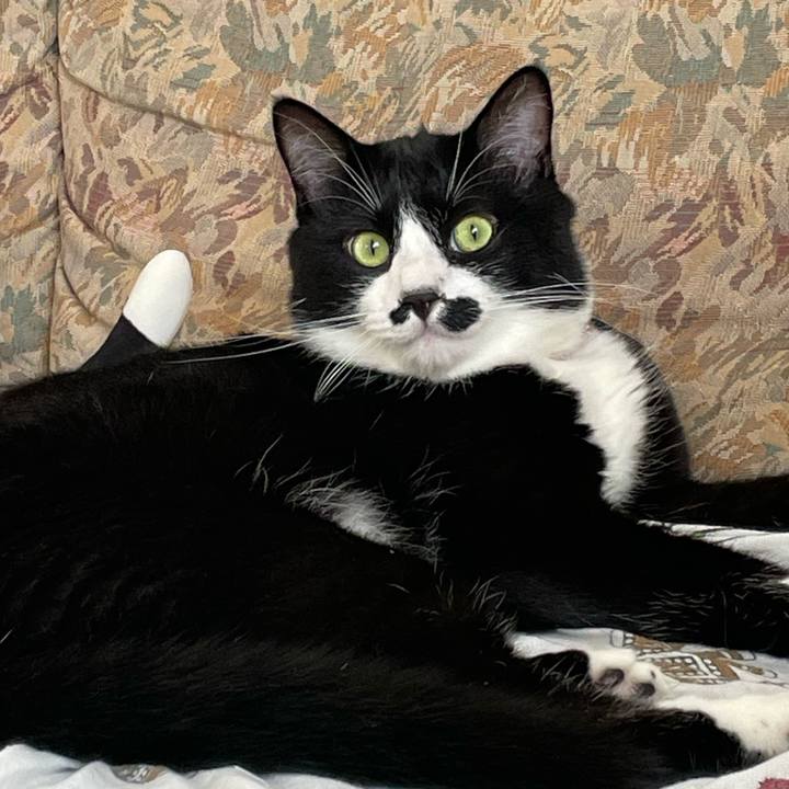 9488f60a 920b 44a8 bdef 11e5ae4052c9 1657403556546