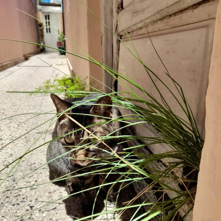 9488fe34 5e45 482f 97bf 9903dd268636 1770829714615