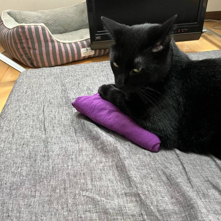 94890e7d dd11 40a9 bd4f 62c35f141469 1687308975659