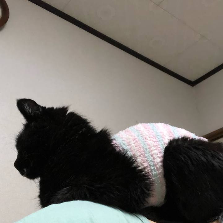 9489170c f8e5 49cb 94ad fef3f41b83e9 1642541119003