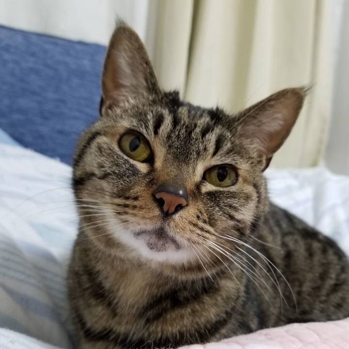 94894d14 8d00 431f 9e14 3ac9def8ffc1 1622496402547