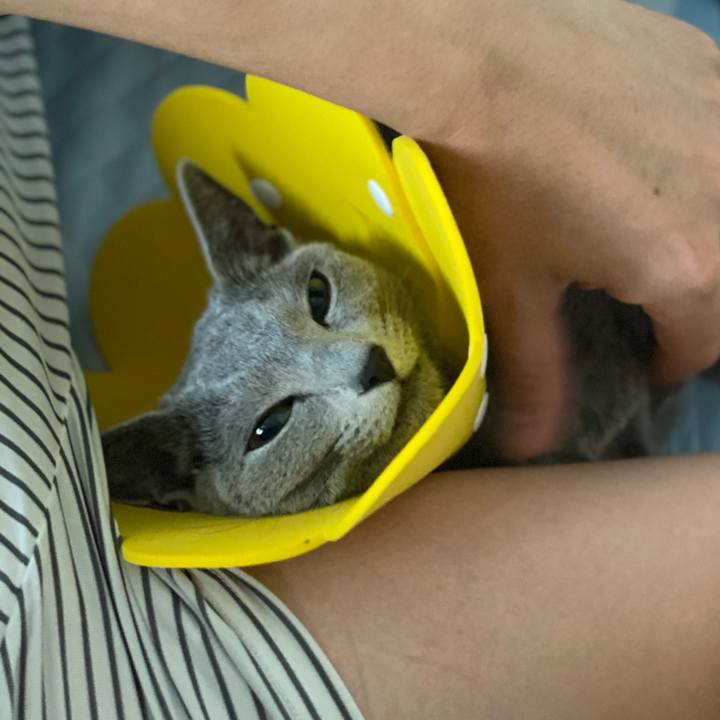 94896cc5 7b50 445e 854f 71776d5c4f1d 1631406710074