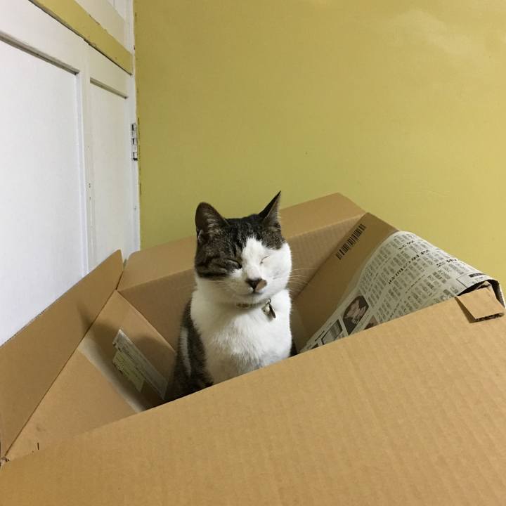 94897d3c a067 4904 a5a3 507377aca343 1523449900972