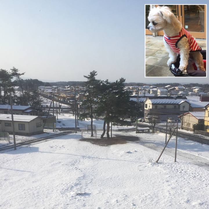 94899e0a 2fad 4d7c b106 7740a290d0ea 1522928019538