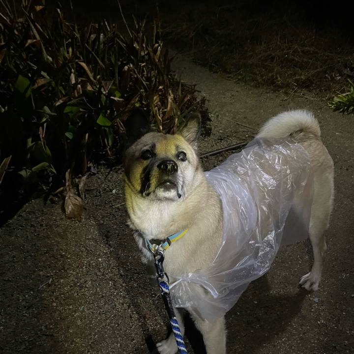 9489af0c 769f 4bf2 a03a 2717cc7d93c8 1671626005037