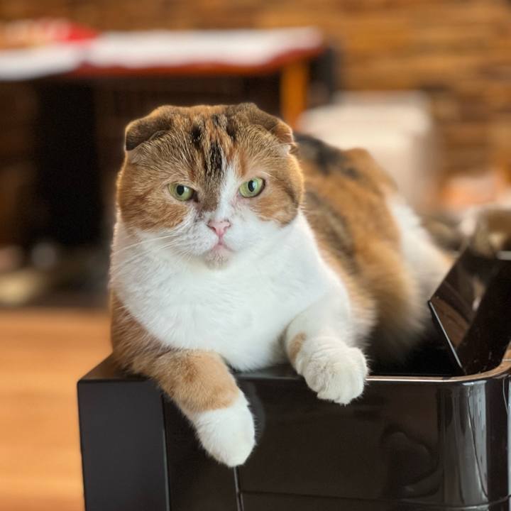 9489b54c 99ad 401d 9f4c f8c01564dfa9 1660354207702