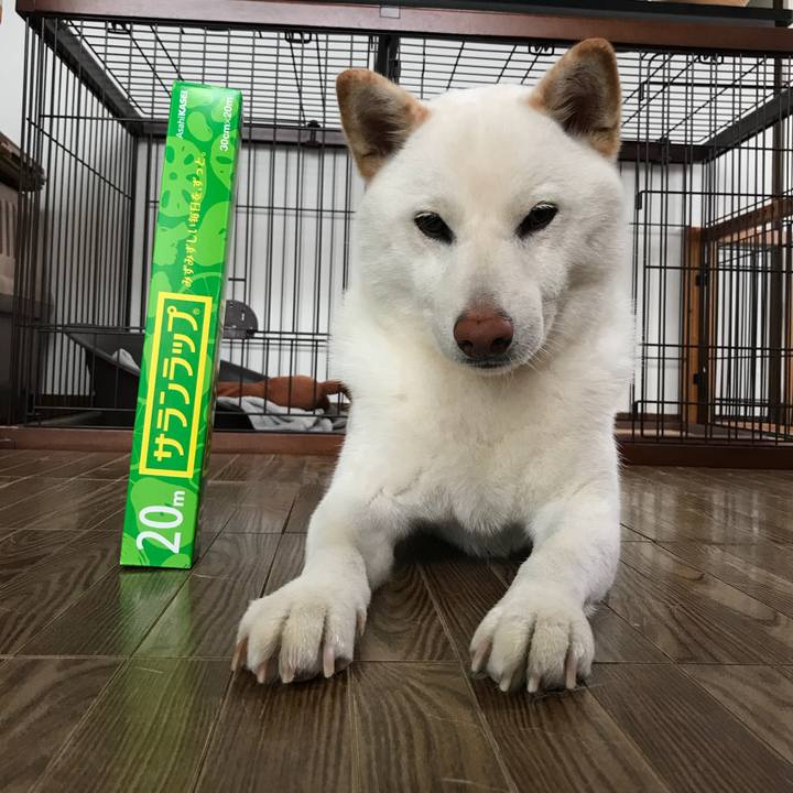 9489c108 8608 42b3 9d14 578d1b93fe87 1530872912716