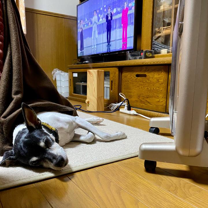 9489c133 7573 4d19 aa71 c1f93710b1cb 1609415141115