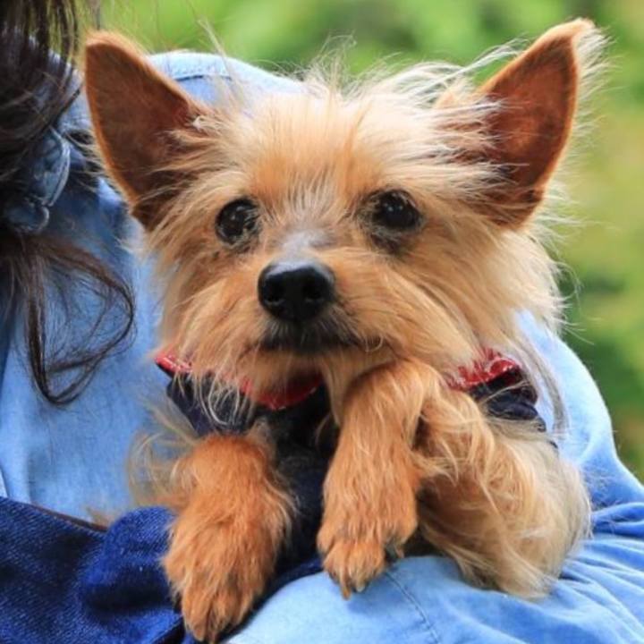 9489e29c 3c04 485a b500 144a87f12574 1688123356753