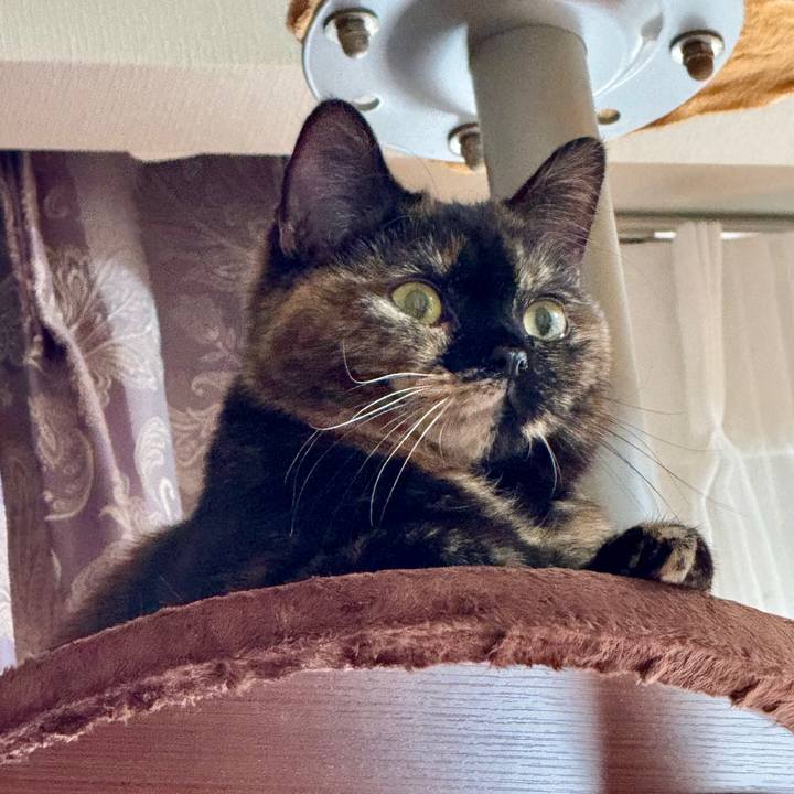 9489e36e 6acc 46e3 a7ad 5a77ec034415 1763272317183