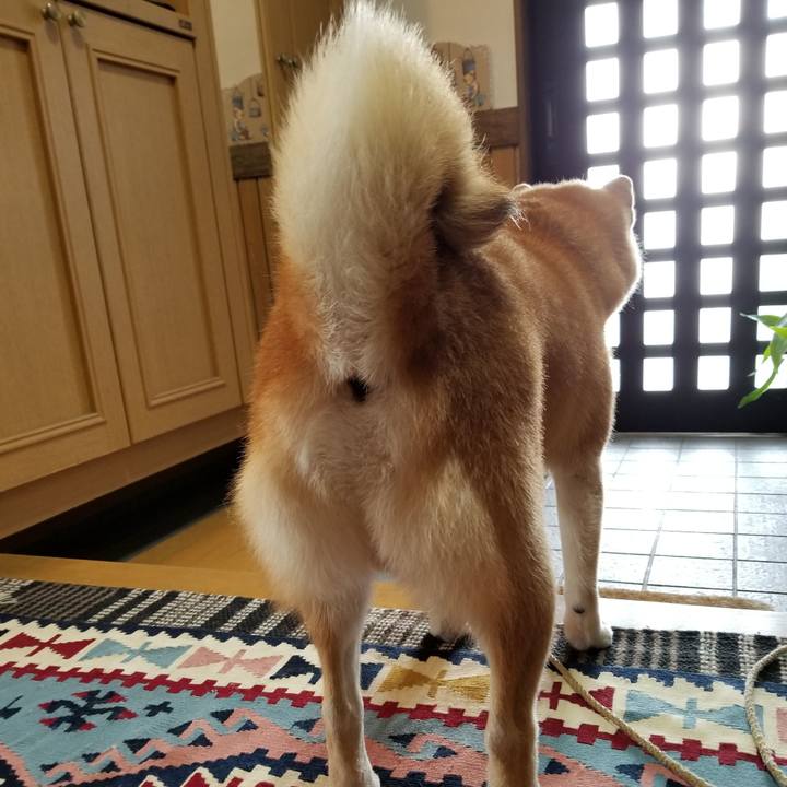 9489e77a fbad 4b57 952f 51764d0674b3 1579855157655