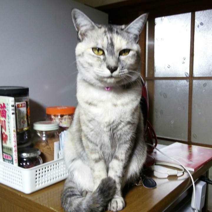 9489ed65 4f60 49ad 9331 f689b563c8d4 1512220065547